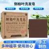 Sabonete Shampoo Platycladi Sabonete Sólido para Cabelo Polygonum Multiflorum Sabonete para Cuidados com o Cabelo Sabonete Herbáceo Ufa Sabonete Shampoo Usman