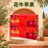 Gansu Tianshui Maçã Huaniu Festival da Maçã Vermelha Huaniu Presente de Ano Novo Grupo de Compra Caixa de Presente Lembrança Empresarial