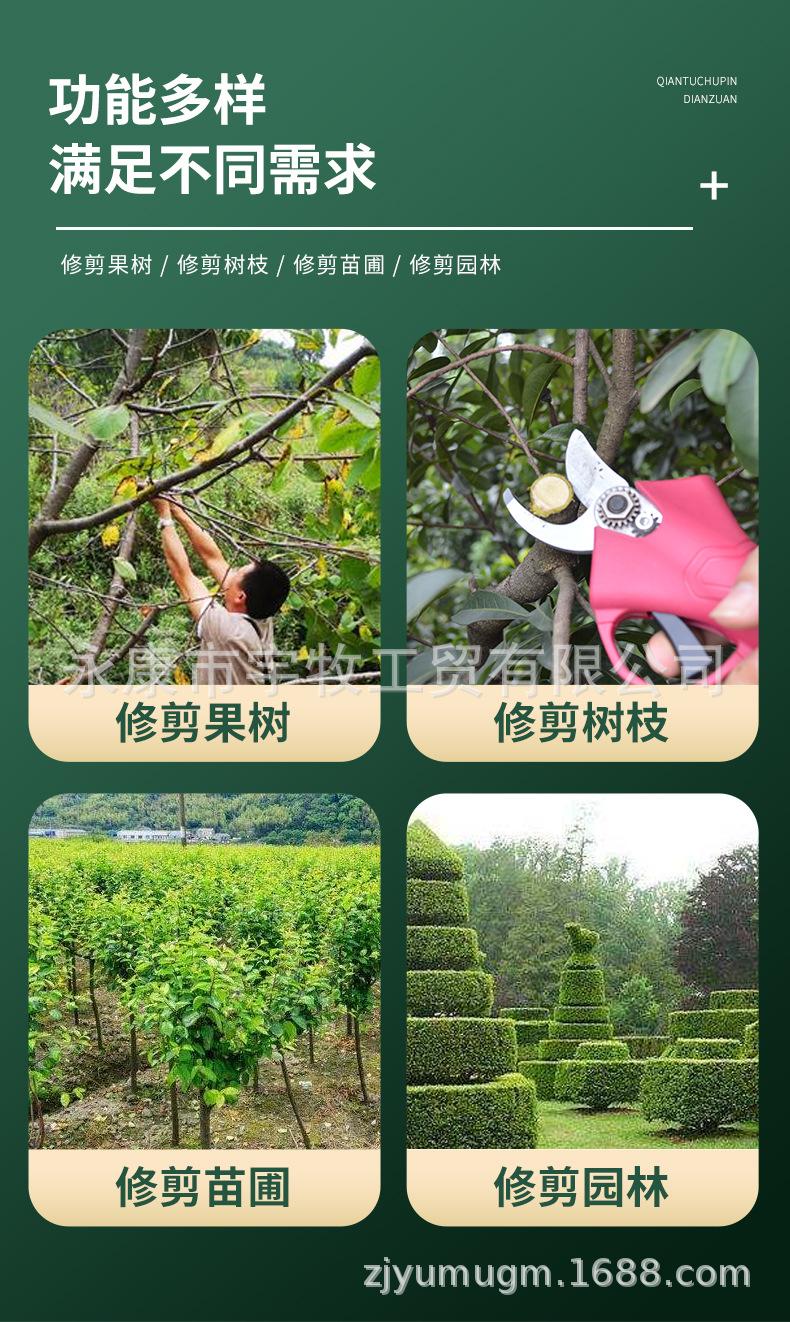 详情_04.jpg