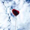 Balão de casamento Amor vermelho Dia dos Namorados balão de alumínio pedido de casamento confissão decoração no local balão