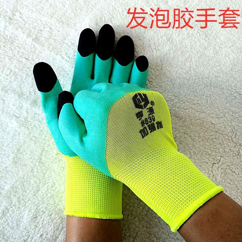 19710698944_186003628