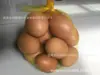 35cm de Longitud 0.75-1.0kg Paquete Bolsa de Red para Huevos Bolsillo de Red para Huevos Bolsillo de Red de Nylon Bolsillo de Red Pequeño para Huevos