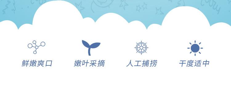 长条裙带菜_02.jpg