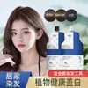 Pack Doble de Crema Tinte para el Cabello de Calidad Profesional, No Requiere Decoloración, Cubre Canas, a Base de Plantas, No Dañino, Tinte para el Cabello DIY en Casa