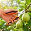 Tijeras de podar de acero inoxidable en stock para ramas de frutas, ramas de flores y poda de plantas, tijeras de cabeza recta y curva, disponibles para dropshipping