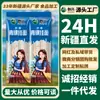 Directamente desde XinjiangChuangxing Auténticos Fideos de Cebada de las Tierras Altas de Xinjiang, Comida de Reemplazo con Fideos de Cebada de las Tierras Altas, Fideos Integrales, Apto para Vegetarianos y Diabéticos