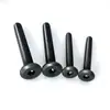 Fixadores de Soquete Hexagonal em Aço Carbono com Revestimento de Níquel Preto, Parafusos de Fixação de Prateleira, Parafusos de União de Ferro com Revestimento de Zinco Preto