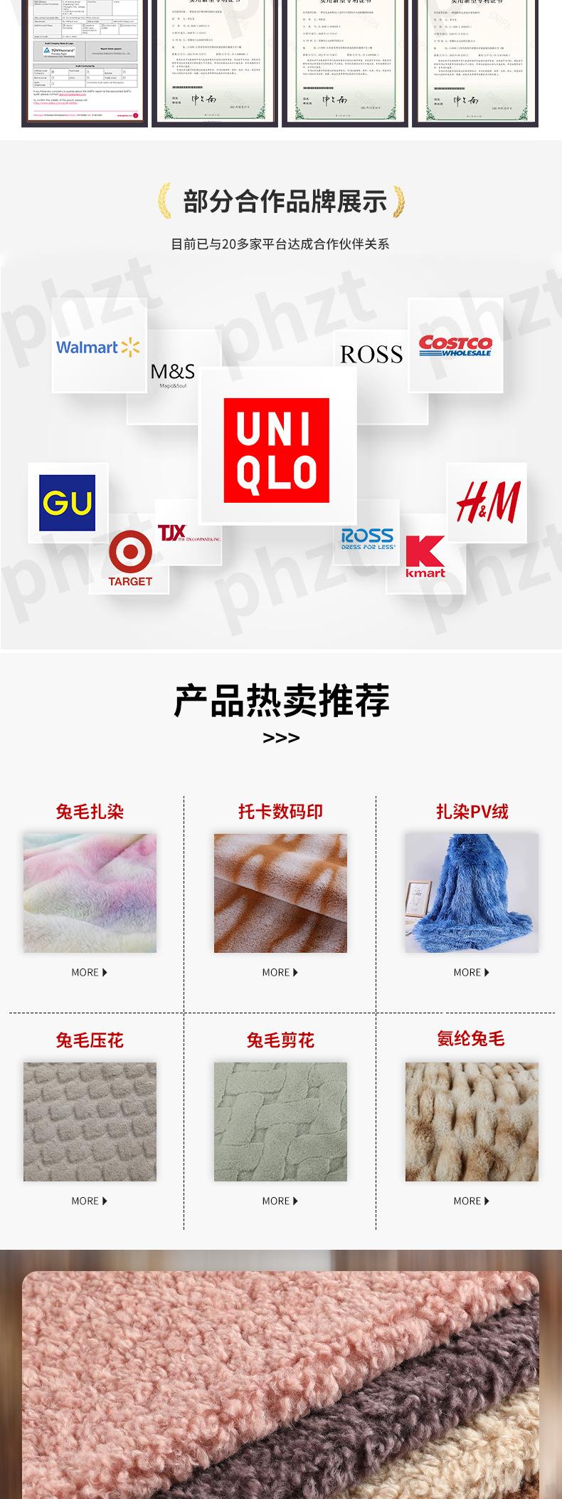 泰迪卷曲绒_04.jpg