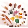 Pacote de Material de Flores Secas Espécime Jardim de Infância Casca de Fruta Caseira Flor Seca Bolota Porta-Retrato Espécime Pinha Porta-Retrato DIY Feito à Mão