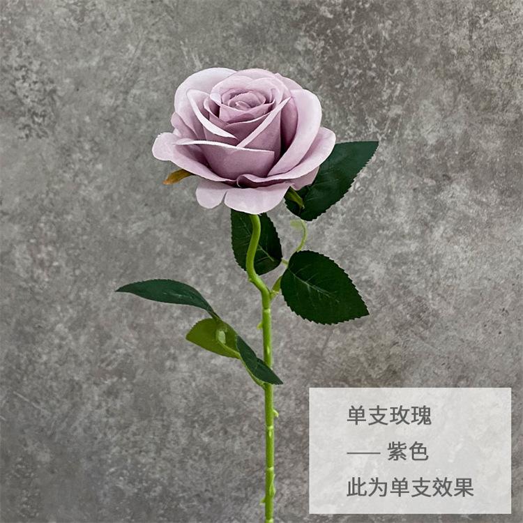 单支玫瑰-紫色.jpg