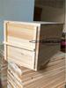 Caja de abejas Abejorro Colmena Nido natural Colmena antigua Suelo Secado Madera de abeto Colmena Enrejado Miel