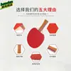 Raqueta de Tenis de Mesa, un Juego de Raquetas de Tenis de Mesa para Principiantes, Raqueta Recta, Raqueta Terminada, Niños, Estudiantes de Primaria, Adultos, Raqueta Horizontal