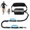 Nuevo conjunto de riñonera deportiva para correr para mascotas transfronteriza, correa retráctil reflectante para pasear perros al aire libre, en stock para venta al por mayor