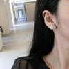 Pendientes de Plata de Ley 925 con Pasador, Completamente Incrustados con Diamantes, Distintivos, para Mujer, Shake Voice Live, Populares, Simples, Tendencia INS 33450