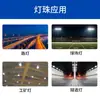 Cuentas de Lámpara LED EMC5050 Luz Blanca 6V24V5W Alta Eficiencia Lumínica Cuentas de Lámpara LED para Exteriores 250Lm/W Reemplazo Lumileds5050