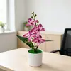 Nº 204 Vaso 4 Flores Cymbidium Bonsai Decoração de Mesa de Escritório Adereços Flores Artificiais Plantas em Vasos Simuladas Ornamentos Atacado Phalaenopsis