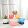 Vaso de Flor de Planta Suculenta de 6 Cores Destaques Cerâmica Esmaltada Simples Pastoral Padrão Redondo Esmaltado Bonsai Clássico