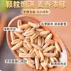 Avena Pura Premium Tienda Oficial Insignia Sabor Original Genuino Grano Nuevo 2026 Grano Entero Bajo en Azúcar con Germen Completo