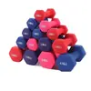 Halteres para Fitness em Casa, Halteres Sólidos de Ferro Fundido Revestidos de Plástico, Equipamento Portátil para Perda de Peso, Pequenos Halteres de Yoga para Mulheres, Halteres de Ferro Fundido