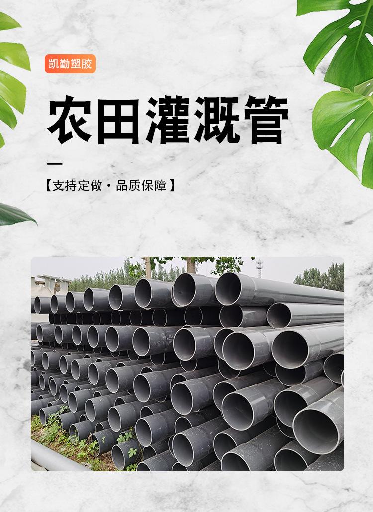 详情1.jpg