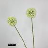 Fábrica atacado simulação flor cebola única cebola dente-de-leão decoração de casa hotel flor falsa casamento arranjo de flores cebola verde