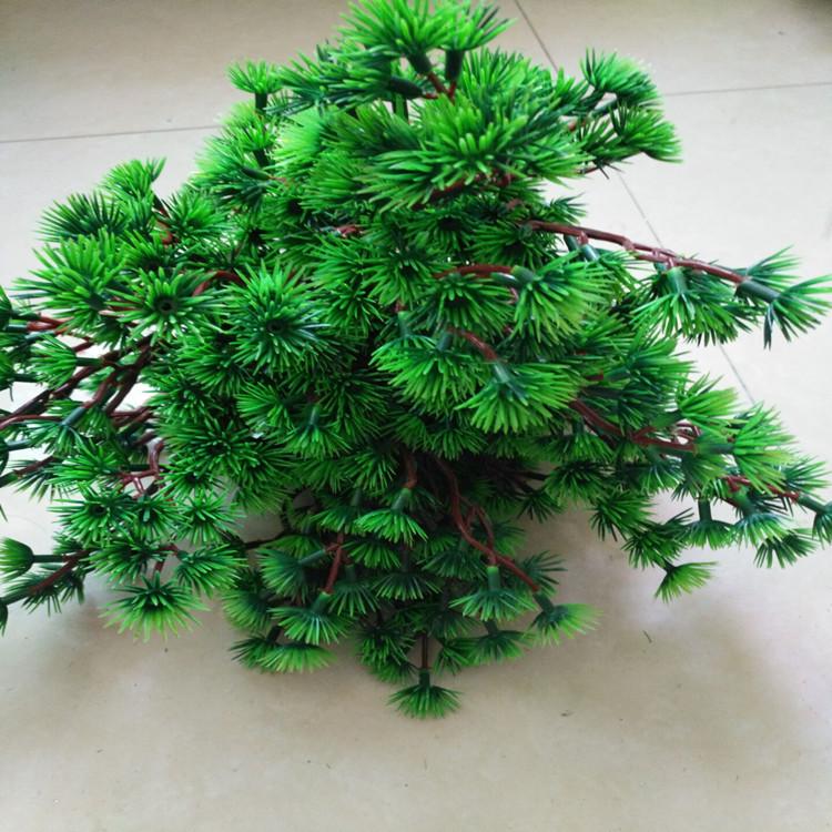 QQ图片20160919161144_副本