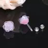 Brincos de Resina Rosa Doce, Luxo Leve, Delicados, Gradiente Claro, Gentis, Modernos, Pequenos e Versáteis para o Dia a Dia
