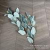Hojas de eucalipto flor artificial planta verde artificial eucalipto muebles para el hogar boda auditorio arreglo floral fábrica mayoreo comercio exterior