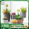 Plantas Suculentas Artificiales en Maceta Venta al por Mayor Personalización Decoración del Hogar Bonsái Artificial Plantas Suculentas Artificiales en Maceta Estilo Escandinavo Ins