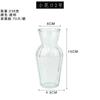 Vaso de vidro padrão vertical de estilo japonês Internet celebridade transparente tamanho pequeno sala de estar desktop hidropônico decoração de flores arranjo de flores recipiente atacado