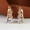 Pendientes de Oro Champagne Popular Transfronterizos con Cuatro Pequeños Diamantes Redondos y Circonita Ovalada Moda Retro Elegante para Damas