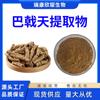 Extracto de Morinda officinalis 10:1 polvo soluble en agua Morinda officinalis medicamento alimento homólogo alimento materias primas para el cuidado de la salud envío inmediato