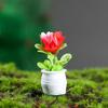 Novo modelo de planta mini em vaso de 3-5cm atacado planta acabada paisagem artística redonda ornamentos de paisagem em miniatura