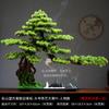 Novos Enfeites de Planta em Vaso Pinheiro de Boas-Vindas Estilo Chinês Decoração de Paisagem Zen para Entrada de Casa Sala de Estar Mesa de Escritório