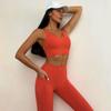 Traje de Fitness Justo Europeu e Americano Feminino Sexy Sutiã Costas Cruzadas Calças de Yoga de Cintura Alta Bumbum Nu Traje de Yoga Feminino