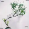 Bonsái Estilo Zen con Tocón Viejo Huangjing para Decoración de Dormitorio Interior, No Incluye Maceta
