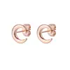 Clavos para Oreja de Acero de Titanio con Forma de Estrella, Luna, Corazón de Amor Tridimensional de Venta Caliente Japoneses y Coreanos Sin Caída, Electrochapado al Vacío para Hueso de Oreja para Mujeres