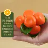 Modelo de laranja simulado laranja falso verde amarelo kumquat fruta de espuma adereços para fotografia com folha laranja de açúcar vitrine de janela de laranja