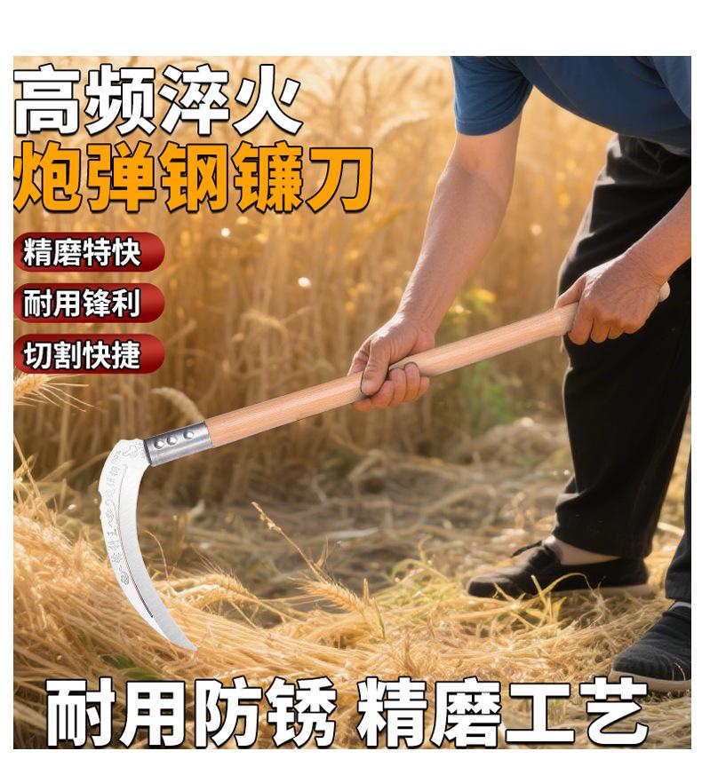 详情_10.jpg