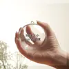 3-90cm Bola de Plástico Transparente Decorativa Navideña Bola Navideña Flor Eterna Bola Redonda Hueca Bola Decorativa Colgante de Acrílico