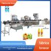 Fabricante de Bebidas do Norte, Conjunto Completo de Fabricante de Equipamentos, Instalação e Serviço Pós-Venda