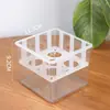 Maceta de Plástico para Tulipanes Hidropónicos Transfronteriza Contenedor para Cultivo de Bulbos en Agua con Cesta de Plantación Jarrón Transparente