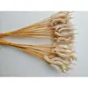 Brochetas populares para snacks en línea, brochetas comerciales, brochetas fritas, productos semielaborados, brochetas picantes revolucionarias, brochetas para olla caliente, brochetas de res picantes