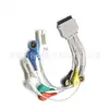 Par de Terminales Dupont Hebilla Chapada en Oro*8+Pinza para Oreja Conductiva de Doble Cara*2 Cable de Plomo Accesorios de Instrumento de Fisioterapia de Alta Calidad