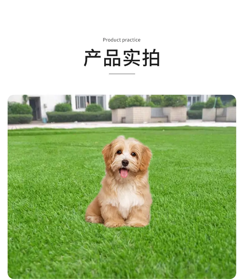 L001-xq_09.jpg