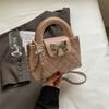 Bolso de Mano Pequeño de Alta Gama para Mujer Primavera y Verano 2024 Nueva Moda Acolchado Cadena Bolso Bandolera Trabajo Bolso Pequeño