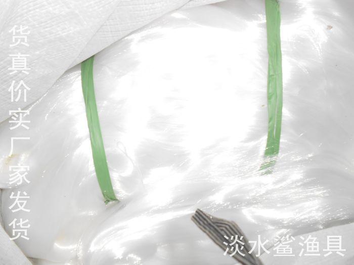 照片 041