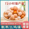 Huevos auténticos de corral de granja, huevos frescos, caja completa, recién recogidos con Cordyceps, 40 piezas, huevos nutritivos de corral