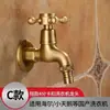 Torneira de Parede de Cobre Estilo Antigo Transfronteiriça, Abertura Rápida de 1/2 Polegada, Água Fria Única, Dobrável, para Uso na Cozinha e ao Ar Livre