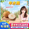 Seleccionados CuidadosamenteShandong Liaocheng Fengshui Pera Dropshipping 2250g Fruta Individual 300g+ Peras Fruta Fresca